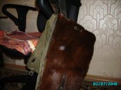 IMGP1017.jpg