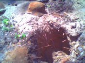 IMG0045A.jpg