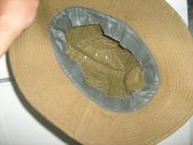 IMG_2261.jpg