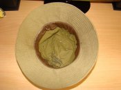 DSC05552.jpg