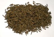 DSCN6905.jpg