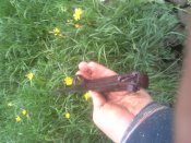 20150523_171852.jpg