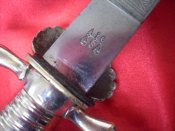 SDC13991.JPG