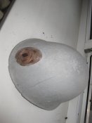 IMG_0468.JPG