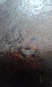 20150523_222334.jpg