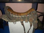DSCN4586.JPG