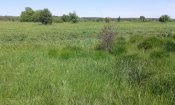 20150524_154705.jpg
