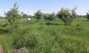 20150524_154712.jpg
