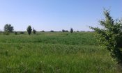 20150524_154740.jpg