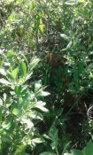 20150524_180355.jpg