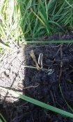 20150524_143930.jpg