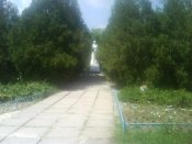 DSC00008.jpg