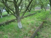 DSC03302.JPG