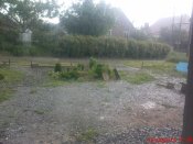 DSC03525.JPG