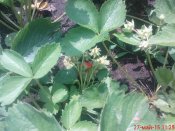 DSC03530.JPG