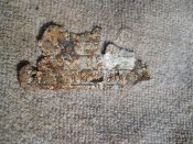 DSCN1927.jpg