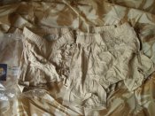 Brief Bower - 3.JPG