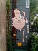 IMG_20140518_091557[1].jpg