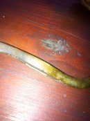 IMG_1296.JPG