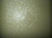DSC06182.JPG
