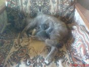 DSC03540.JPG
