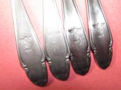 IMG_0100.JPG