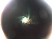 DSCF8144.jpg