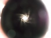 DSCF8145.jpg