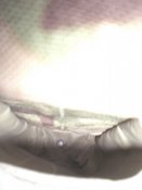 CIMG7516.JPG