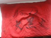 DSC08326.JPG