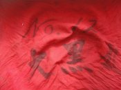 DSC08328.JPG