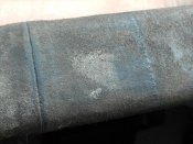 RSCN7684.JPG