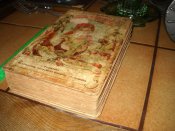 DSCN5155.JPG