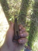 20150606_175834.jpg