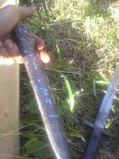 20150606_175929.jpg
