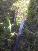 20150606_175937.jpg