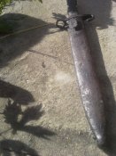 20150606_175737.jpg