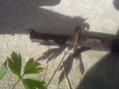 20150606_175740.jpg