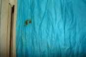 DSC05863.jpg