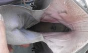 20150519_140557.jpg