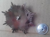 IMG_20150607_164640.jpg