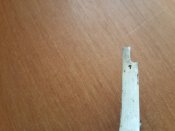 20150603_153953.jpg