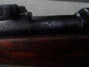 SAM_0990.JPG