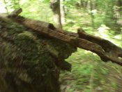 IMG_20150609_153000.jpg