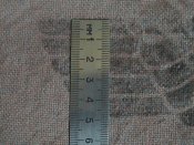 DSC00040.JPG