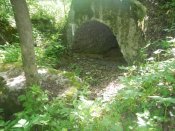 DSCN1411.JPG