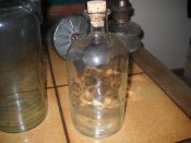 DSCN5374.JPG