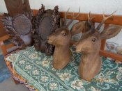 DSCN3191.jpg