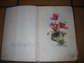 DSCN5408.JPG