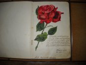 DSCN5410.JPG